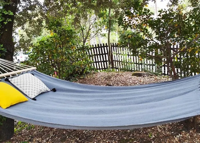 Maison Les Agathines Hébergement de vacances Ronce-les-Bains